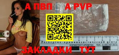 бошки Кингисепп