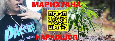 бошки Кингисепп