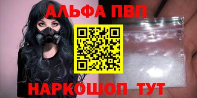 бошки Кингисепп