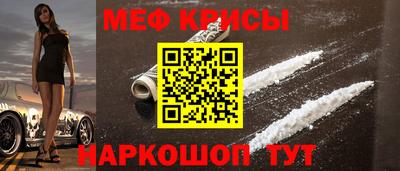 бошки Кингисепп