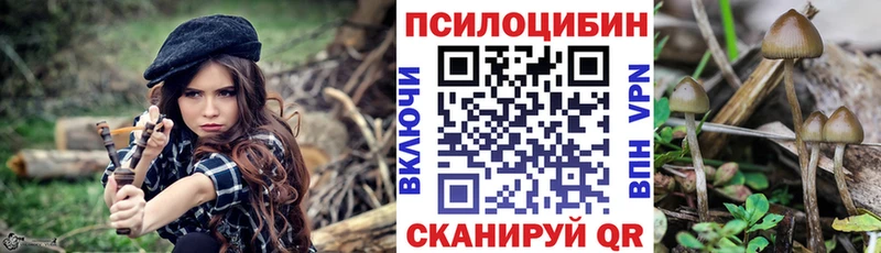 Галлюциногенные грибы прущие грибы Красногорск